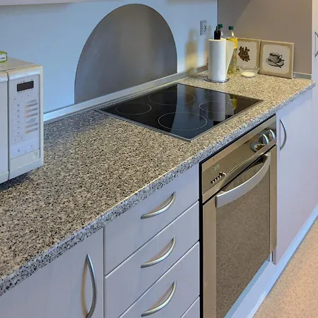 아파트 Pet Friendly In With Wifi Blåvand