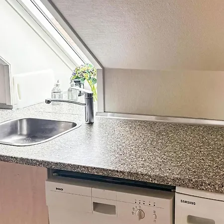 Pet Friendly In With Wifi Apartment *